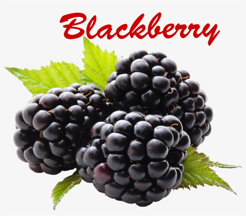 Blackberry Fruit, transparent png #8335576