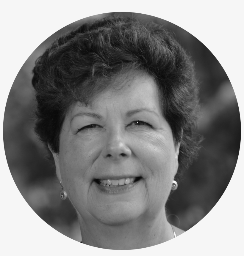 Susan Springgate Vice President, Finance And Administration - Portrait Photography, transparent png #8335721