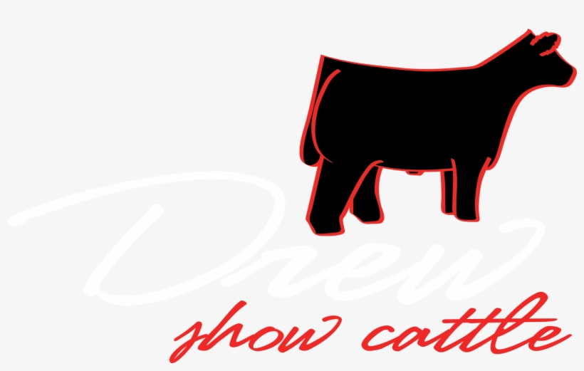 1744 X 1028 9 - Cattle, transparent png #8336218