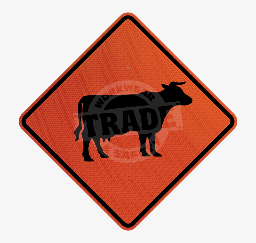 Everglades National Park, transparent png #8336707