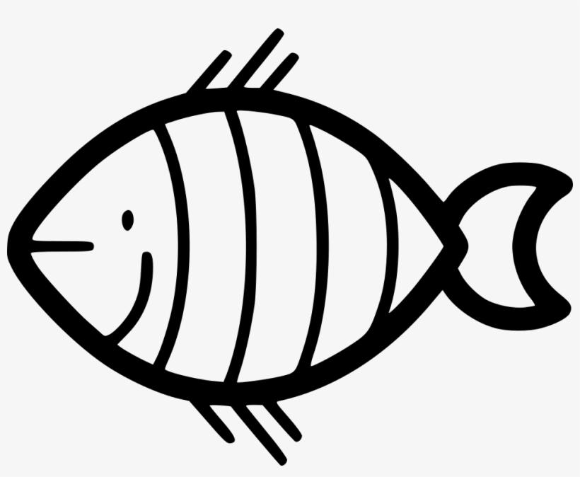Clown Fish Comments - Coral Reef Fish Drawing, transparent png #8336763