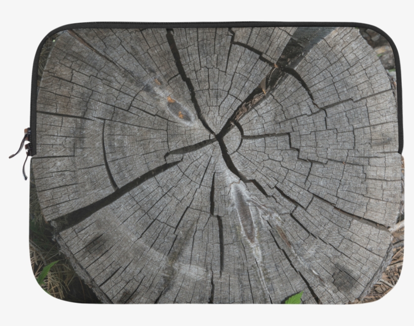 Driftwood, transparent png #8336876