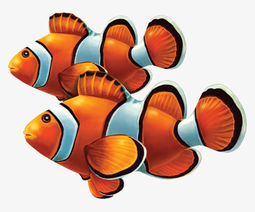 Little Tile Inc - Coral Reef Fish, transparent png #8336976