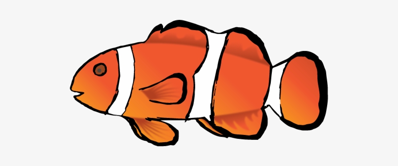 Next I Added Some Life To My Fish By Using The Pen - Coral Reef Fish, transparent png #8337054