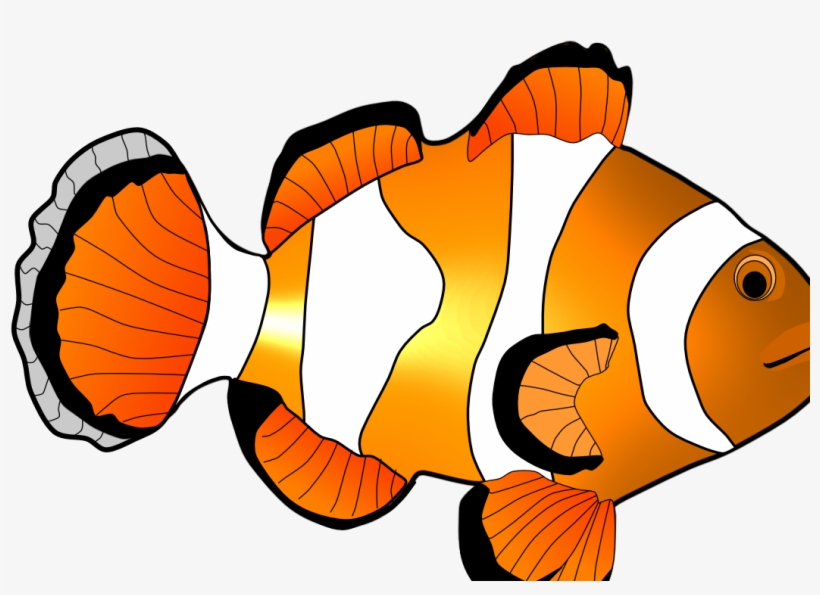 Home Images Clown Fish Clip Art Clown Fish Clip Art - Clip Art, transparent png #8337242