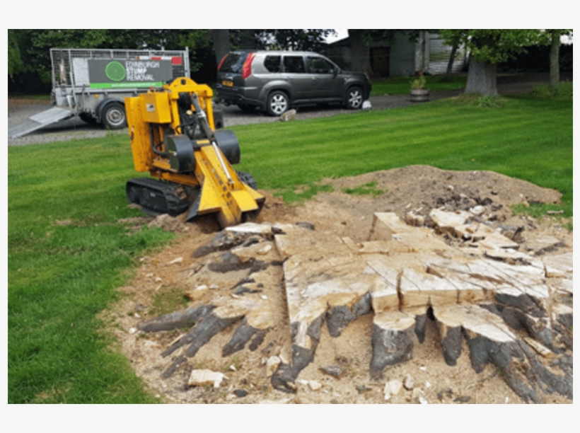 Lumber, transparent png #8337249