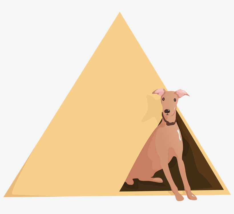 Flat Vector Dog Illustration - Animal, transparent png #8337295