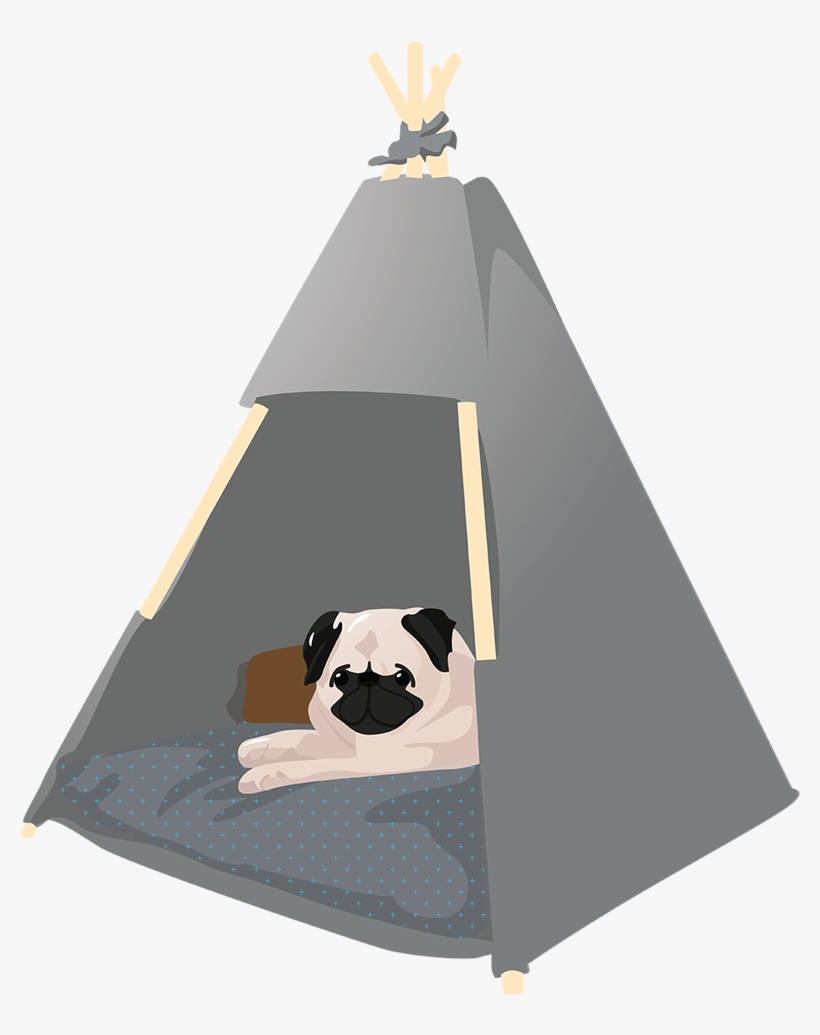 Flat Vector Dogs Illustration For Architecture &amp - Pug, transparent png #8337551