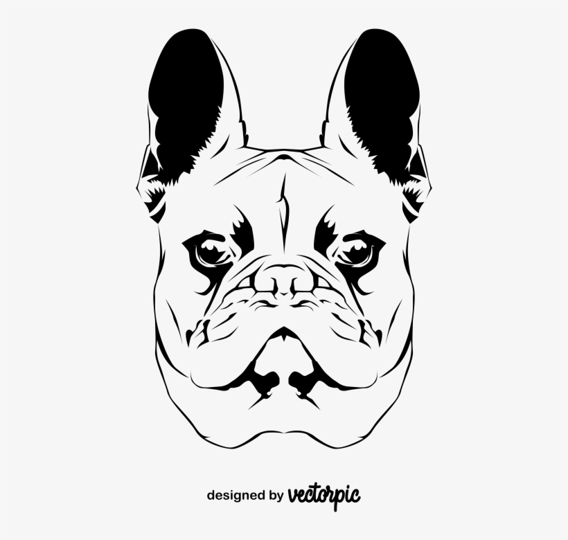 French Bulldog, transparent png #8337593