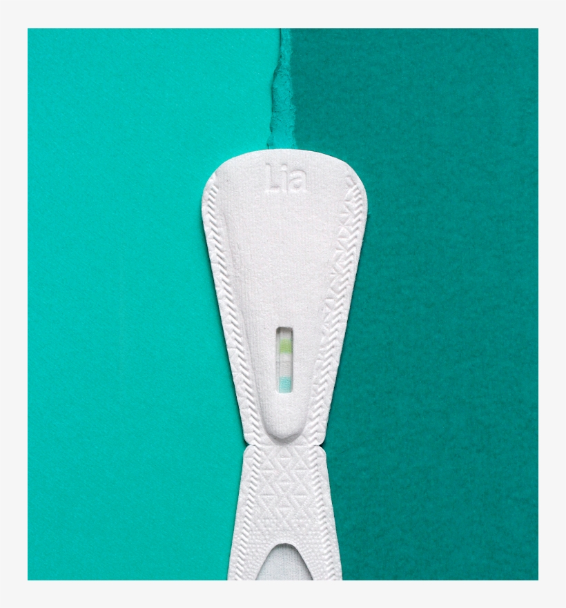 How Flushable Pregnancy Tests Will Change Your Life - Zipper, transparent png #8337683