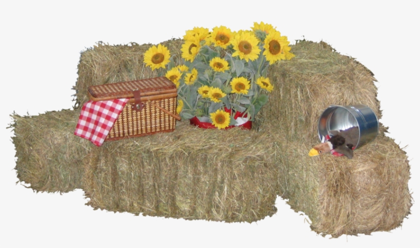 Hay Bale Png Bales Of Hay Png Free Transparent Png Download Pngkey Hay Bale Png Bales Of Hay Png Free Transparent Png Download Pngkey