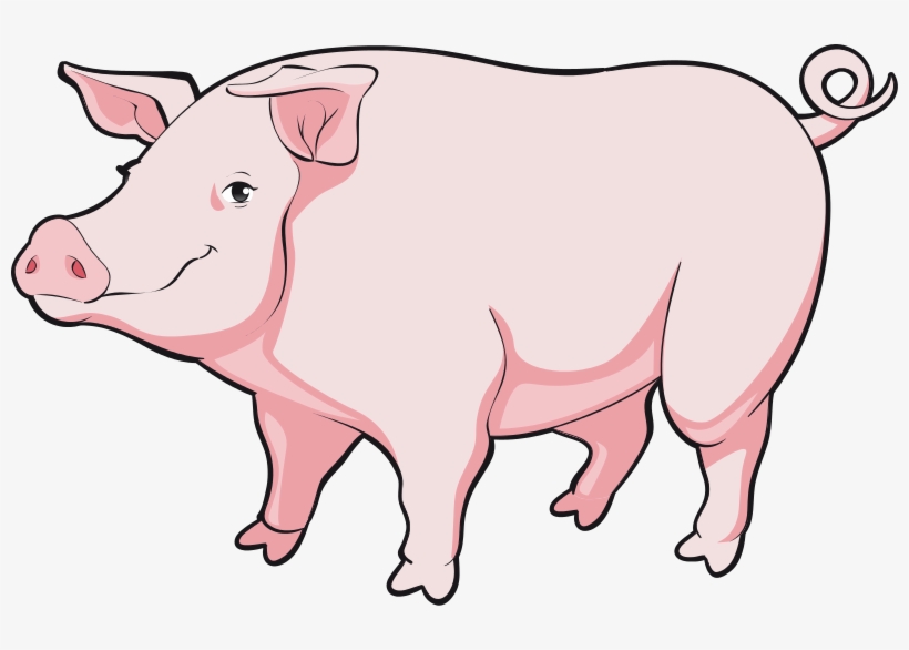 Cartoon Pig Png - Realistic Pig Clip Art, transparent png #8342506