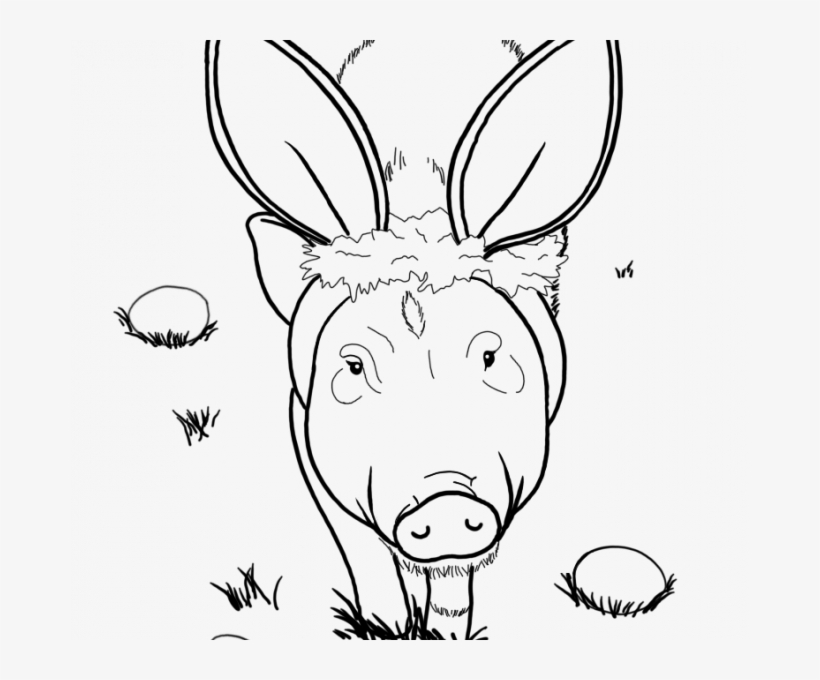 Pig Book Istanbulescort Ilan - Sketch, transparent png #8342699