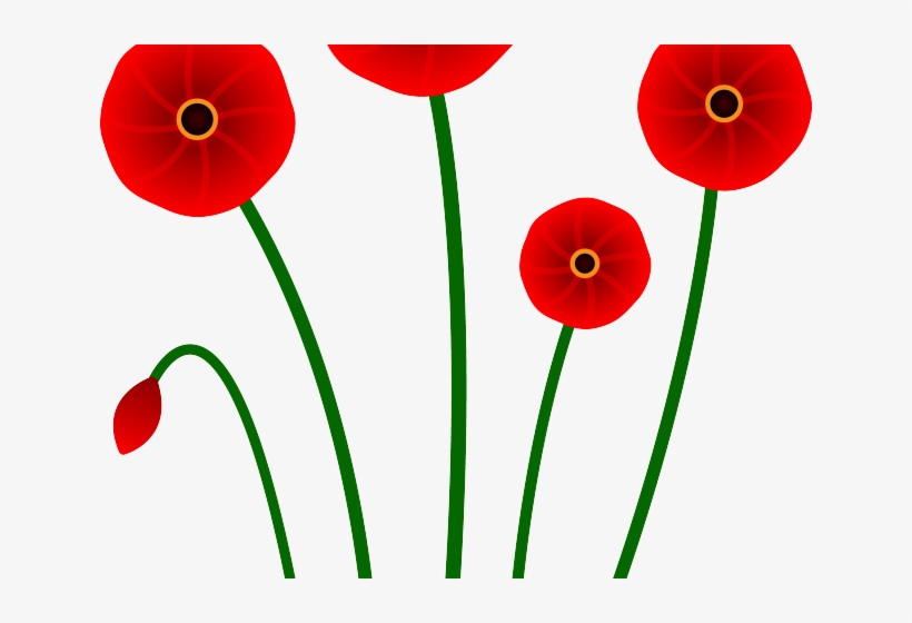 Orange Flower Clipart Single Flower - Poppy, transparent png #8343696