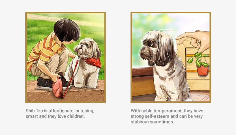 Shih Tzu - Shih Tzu Comics, transparent png #8344144