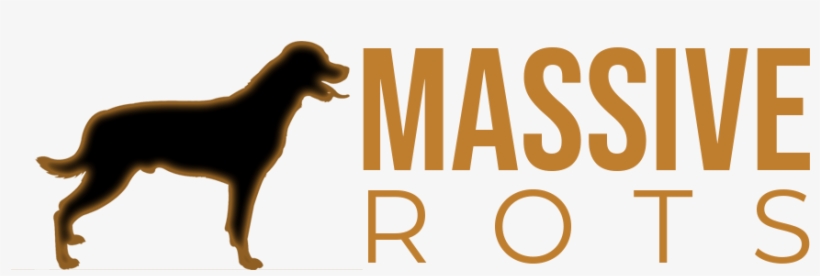 Home Of The Biggest Rottweilers In The World - Guard Dog, transparent png #8345374