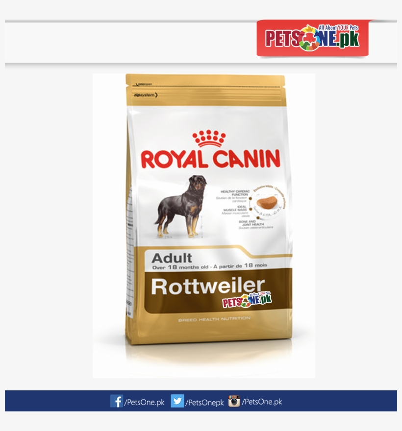 Royal Canin Rottweiler Adult In Pakistan - Royal Rottweiler, transparent png #8345466