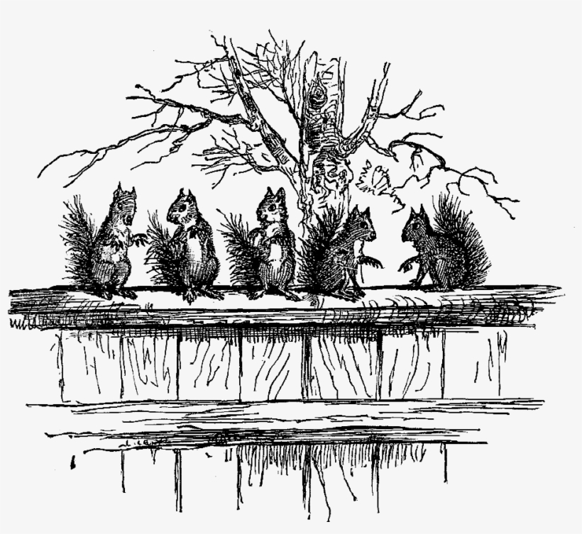 Squirrel Download - Illustration, transparent png #8345673