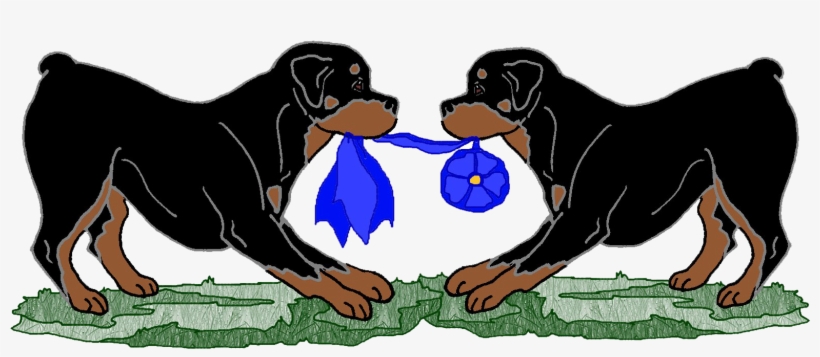18trophydonations - Rottweiler, transparent png #8346241