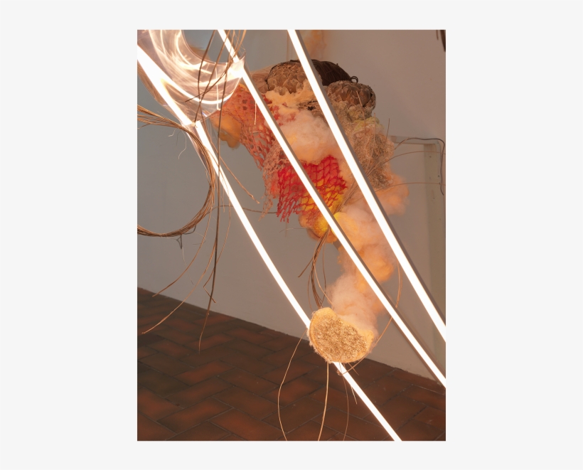 June 9, 2017 2-times - Floral Design, transparent png #8346318