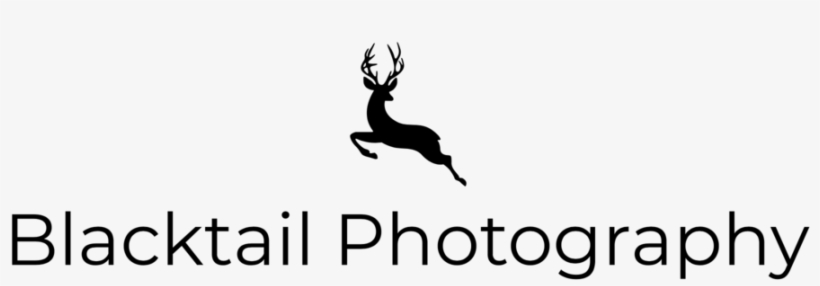Reindeer Antlers Headband Png, transparent png #8346795