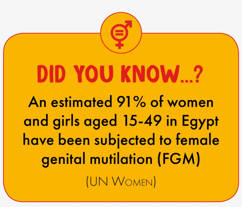 An Estimated 91% Of Women And Girls Aged 15-49 In Egypt - Circle, transparent png #8348374