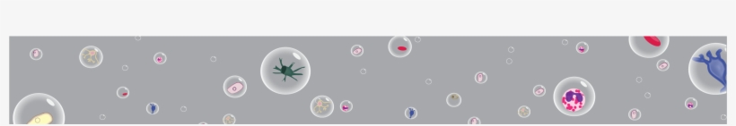 Starry Leaderboard Offblack 01 - Circle, transparent png #8348974