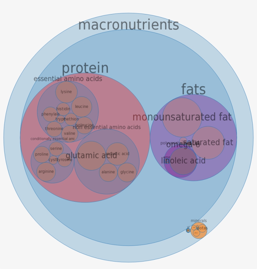 Chicken, Leg, Meat And Skin, Raw All Nutrients By Relative - Brain Composition Dry Weight, transparent png #8349181