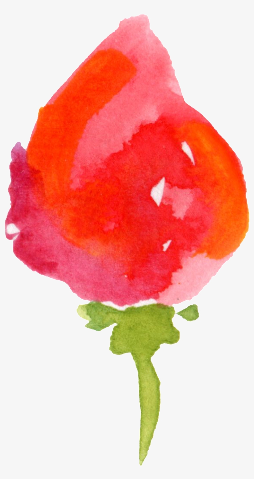Red Flower Transparent Decorative - Watercolor Paint, transparent png #8350877