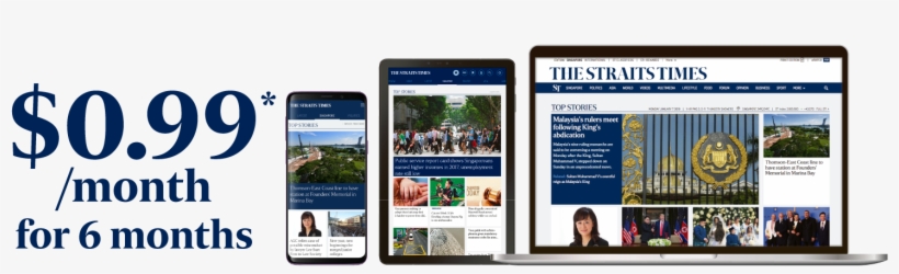 Subscribe Now To Read Your Favourite Newspapers And - Online Advertising, transparent png #8353657