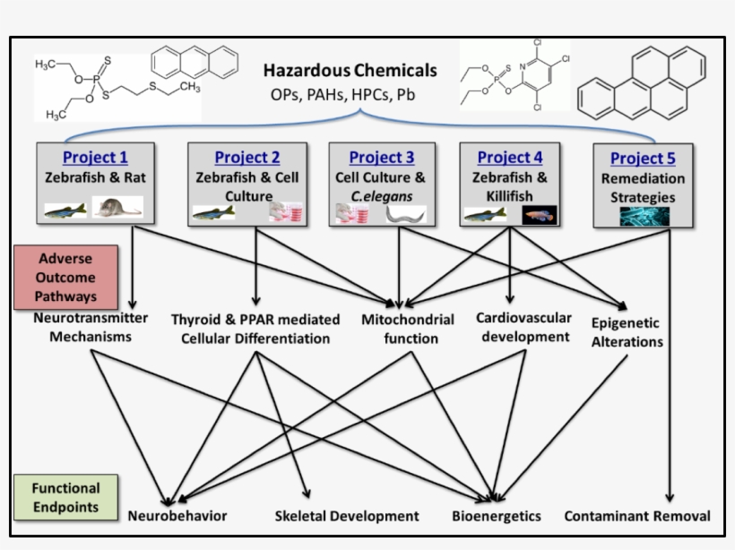 The Duke University Superfund Research Center Co-sponsors - Diagram, transparent png #8353968