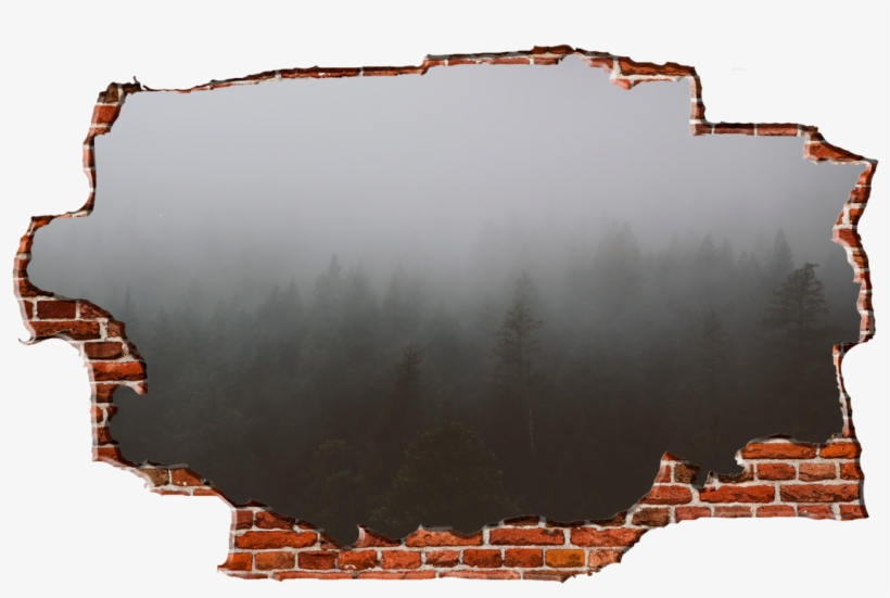 Zapwalls Decals Morning Forest Cloudy Sky Breaking - New York City, transparent png #8354585