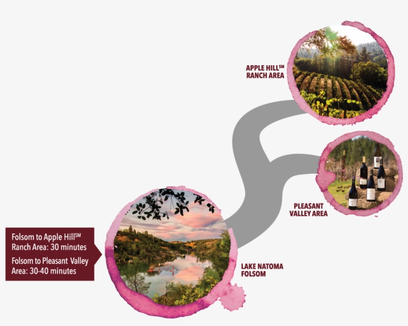 Graphic Design, transparent png #8355260