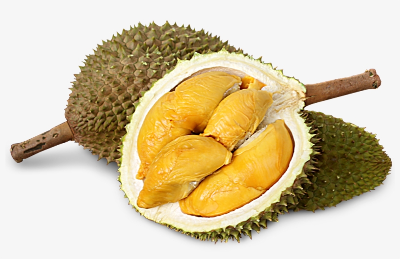 Durian Png, transparent png #8356238