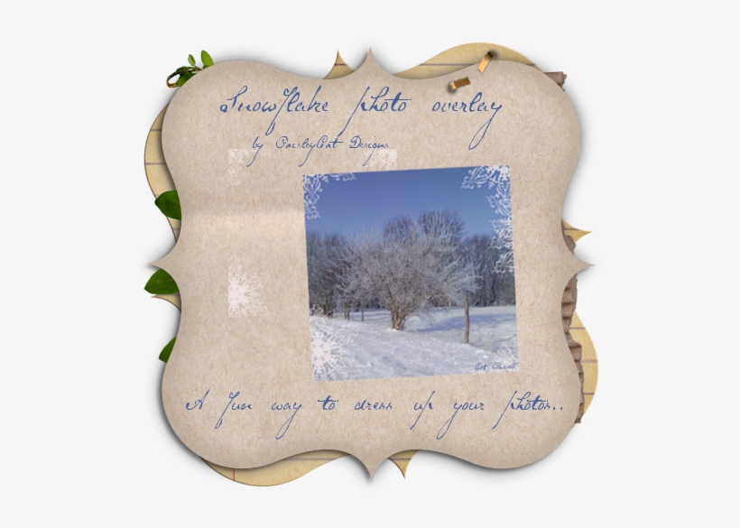 Picture Frame, transparent png #8356620