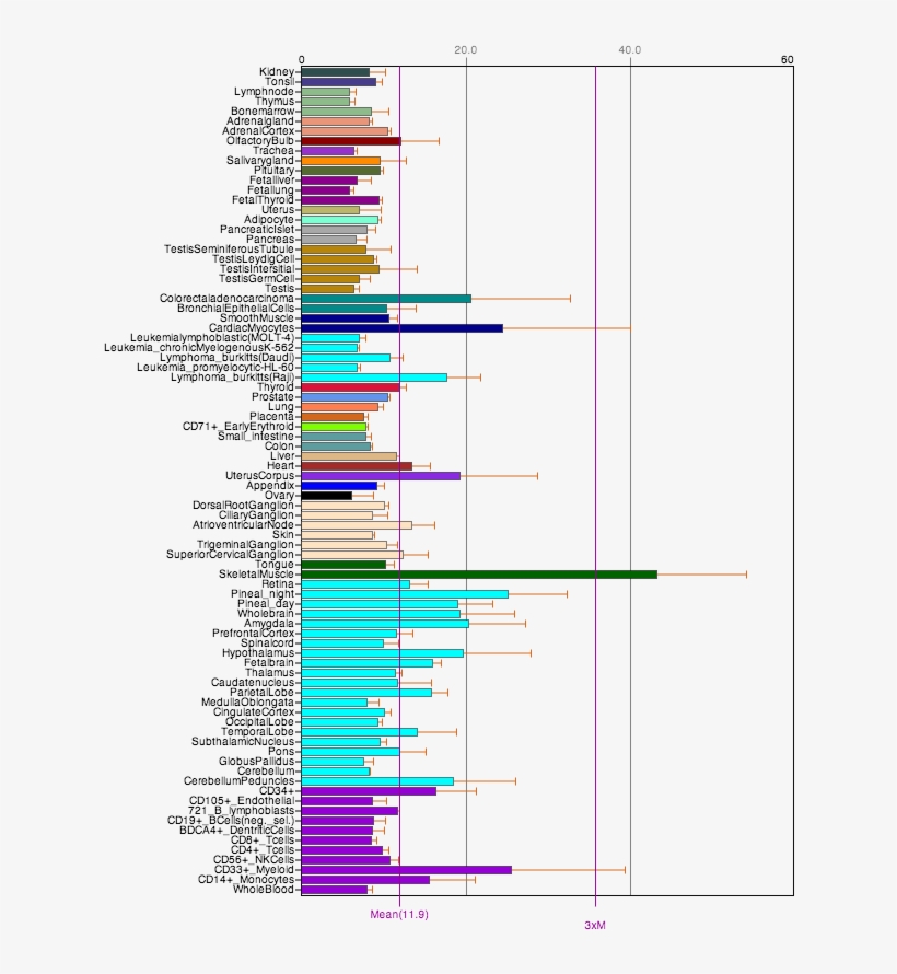 Megf8 Tissue Expression - Diagram, transparent png #8356971