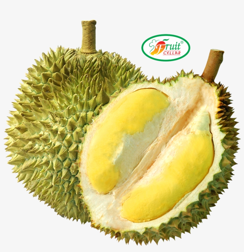 <b>durian</b> - Durian, transparent png #8357556