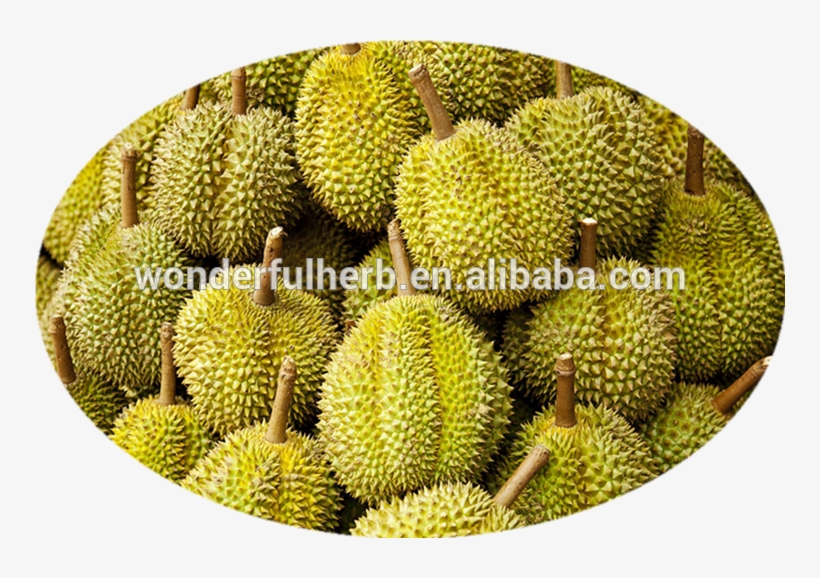 Durian Pulp Yellow, Viscous, Juicy, Weakness In Sweet - Durian, transparent png #8357960
