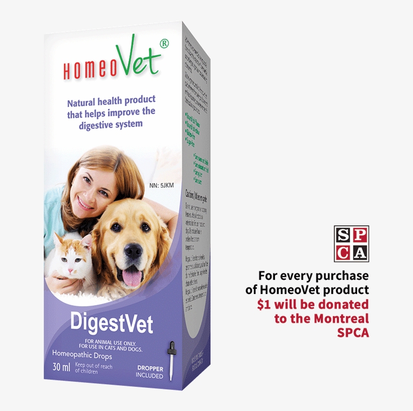 Digestvet - Dog, transparent png #8360992