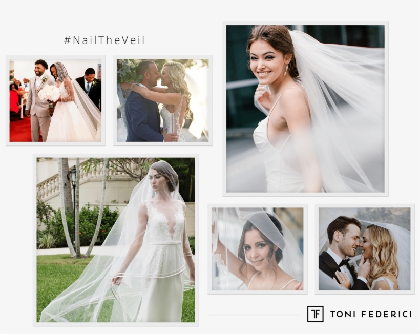 See The Entire Collection → - Veil, transparent png #8361869