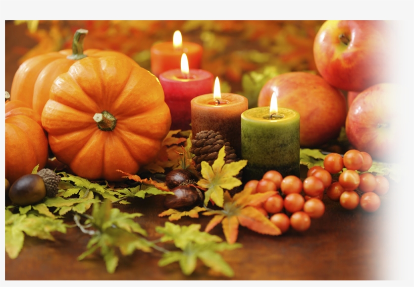 Thanksgiving - Thanksgiving Celebrations, transparent png #8363071