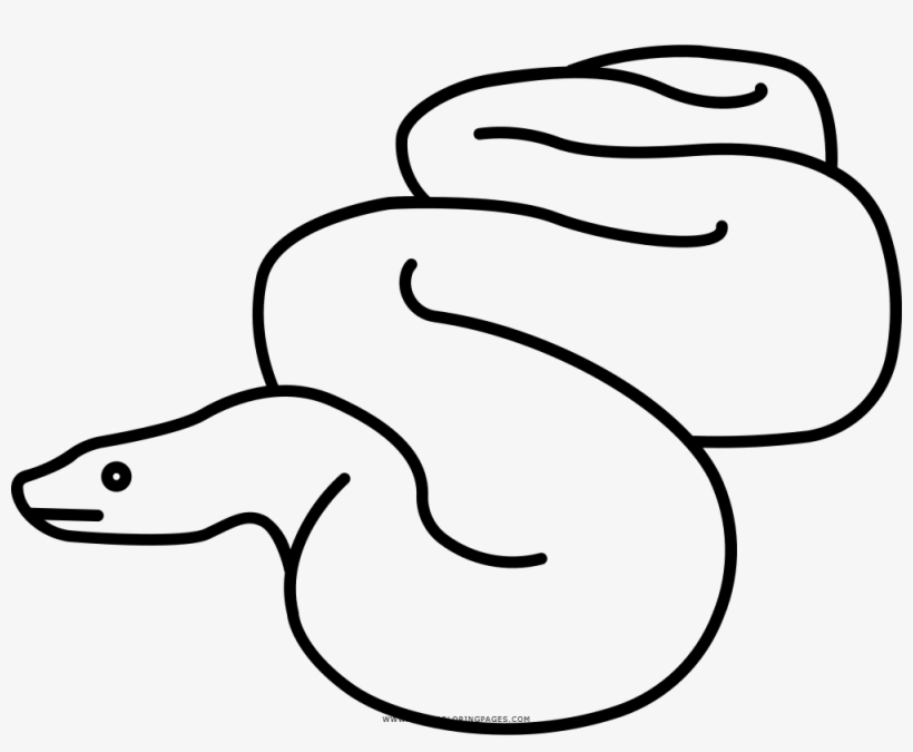 Anaconda Coloring Page - Dibujos De Anaconda Para Dibujar, transparent png #8363789