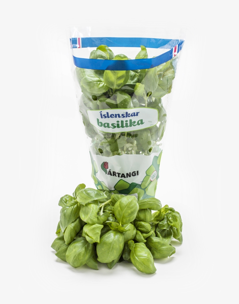 Basil - Basilika Grænmeti, transparent png #8363878