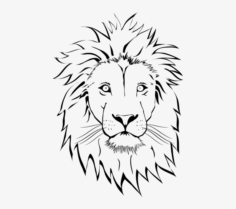 Lion Face Drawing Png, transparent png #8365440