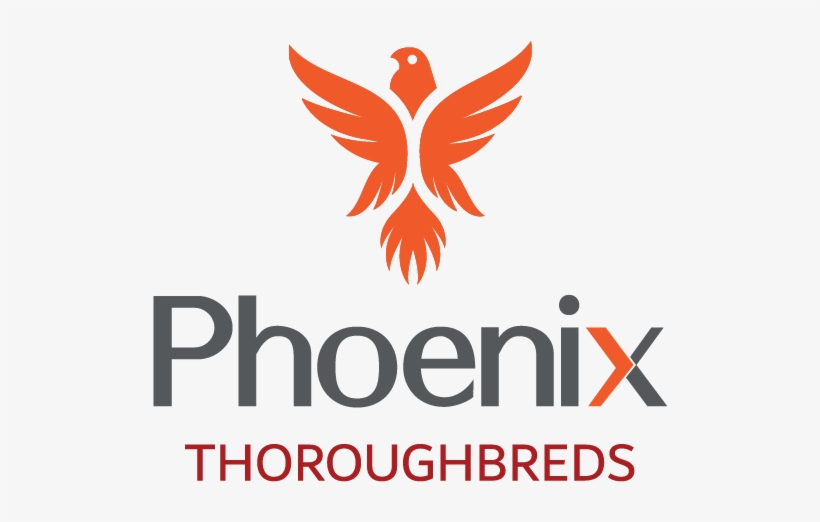 Phoenix Bird Png, transparent png #8366886