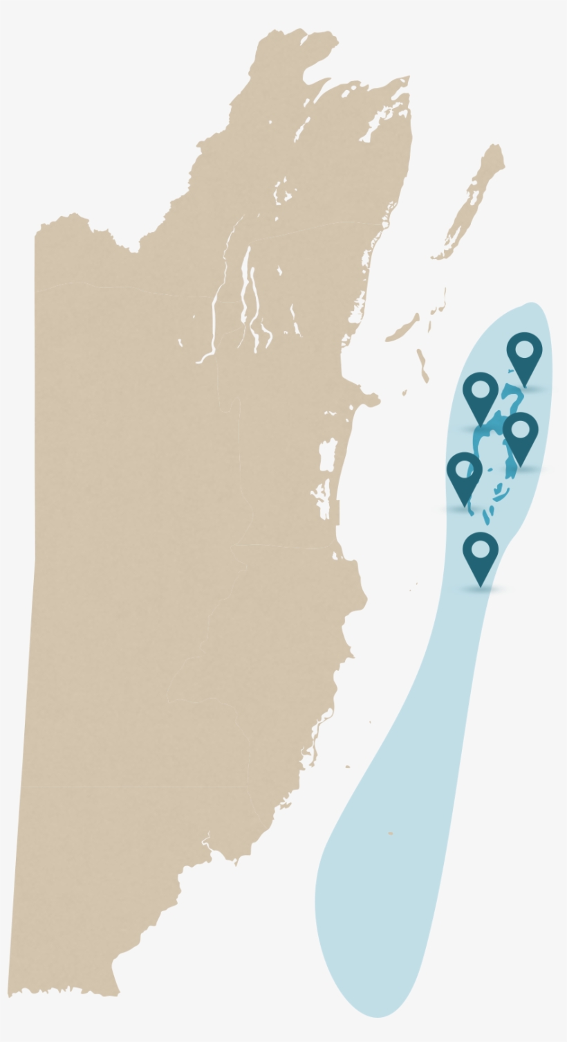 Belize Reef - Drawing Of The Map Of Belize, transparent png #8368000