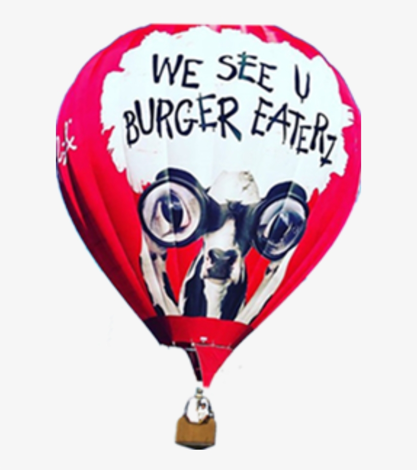 Balloon-png - Hot Air Balloon, transparent png #8369433