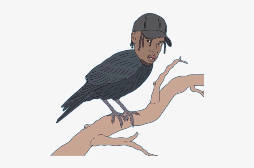 Bird Of Prey, transparent png #8369755