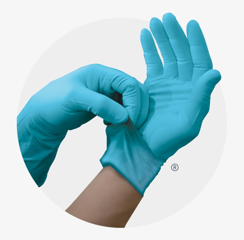 Frontline™ Fl9 Powder-free Nitrile Exam Gloves - Digitcare Corporation, transparent png #8369905