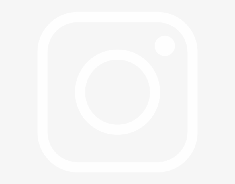 Bears Social-06 - White Image For Instagram, transparent png #8370623